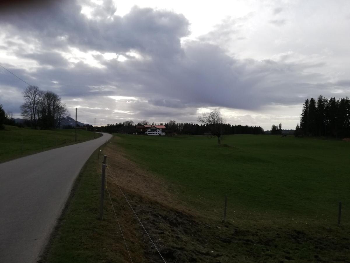 Ferienapartment Brandstatt Seeg Eksteriør billede